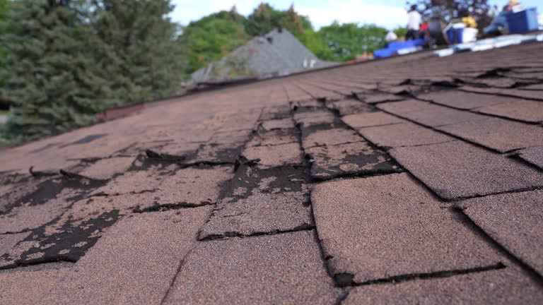 Cold Roofs in Port Huron, MI