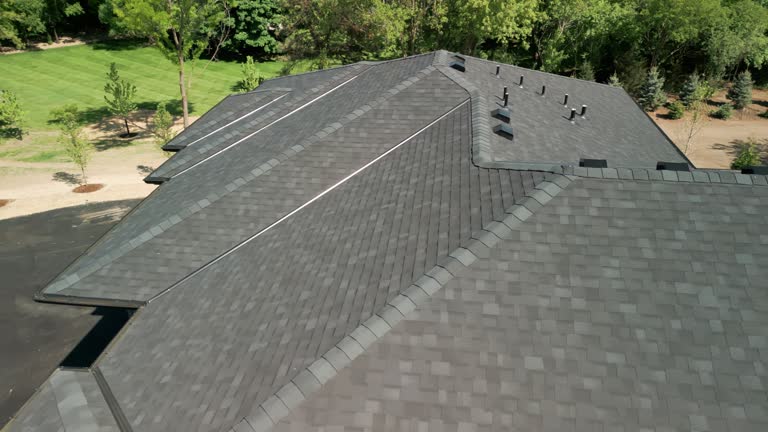 Best Roof Coating Services  in Port Huron, MI